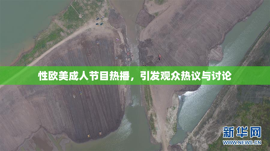 性欧美成人节目热播，引发观众热议与讨论