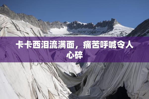卡卡西泪流满面，痛苦呼喊令人心碎