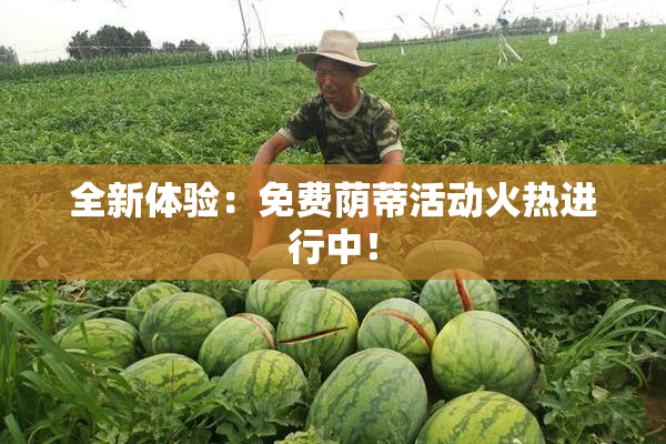 全新体验：免费荫蒂活动火热进行中！