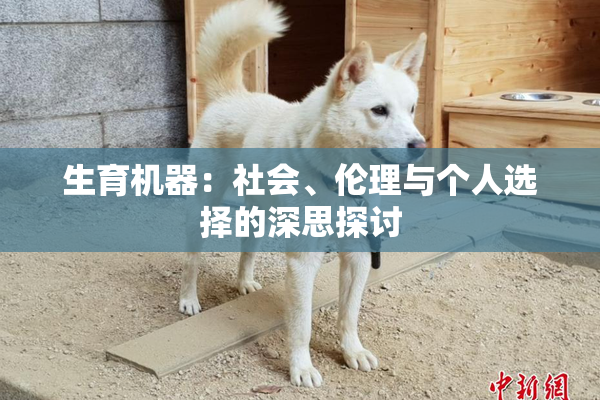 生育机器：社会、伦理与个人选择的深思探讨