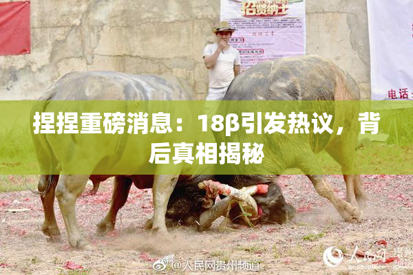 捏捏重磅消息：18β引发热议，背后真相揭秘