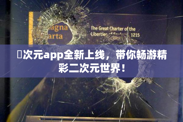 囧次元app全新上线，带你畅游精彩二次元世界！