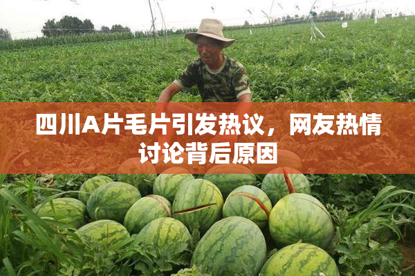 四川A片毛片引发热议，网友热情讨论背后原因