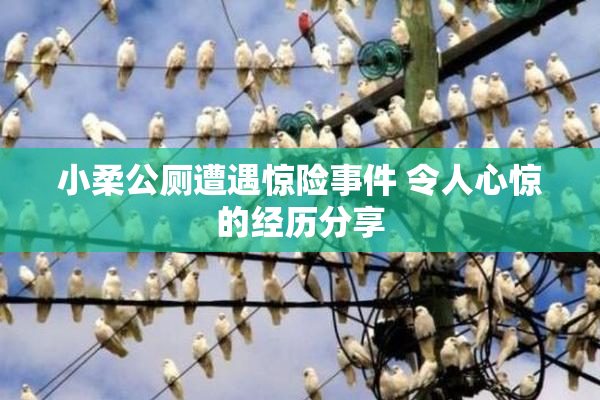 小柔公厕遭遇惊险事件 令人心惊的经历分享