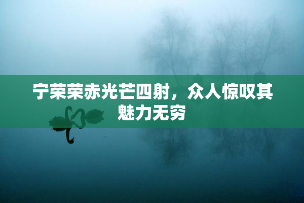 宁荣荣赤光芒四射，众人惊叹其魅力无穷
