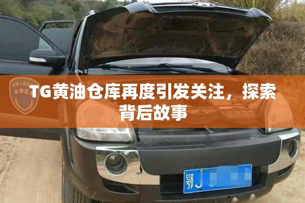 TG黄油仓库再度引发关注，探索背后故事