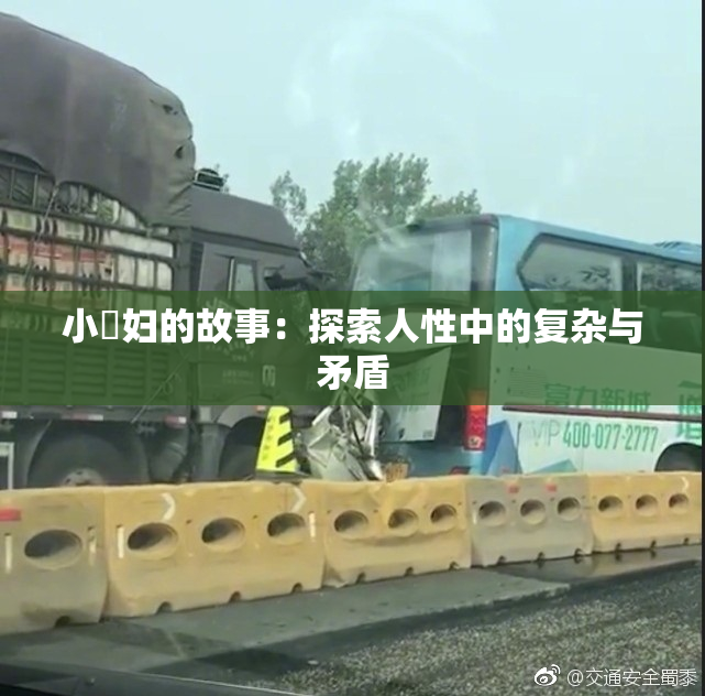 小婬妇的故事：探索人性中的复杂与矛盾