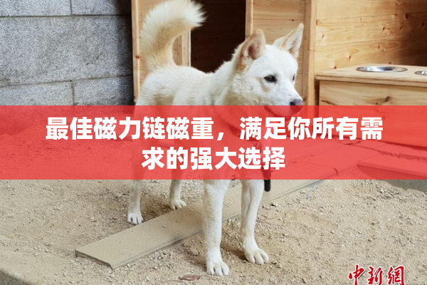 最佳磁力链磁重，满足你所有需求的强大选择