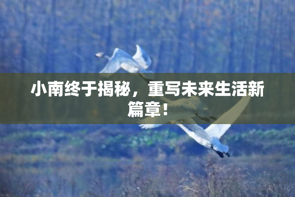 小南终于揭秘，重写未来生活新篇章！