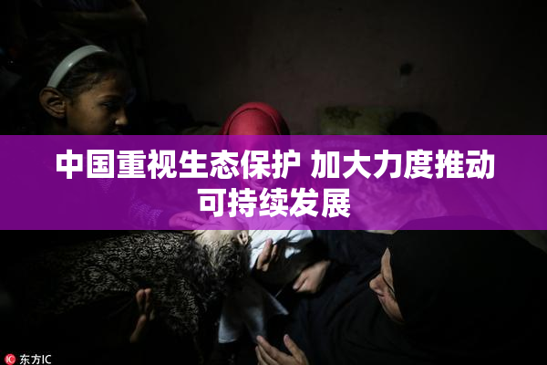 中国重视生态保护 加大力度推动可持续发展