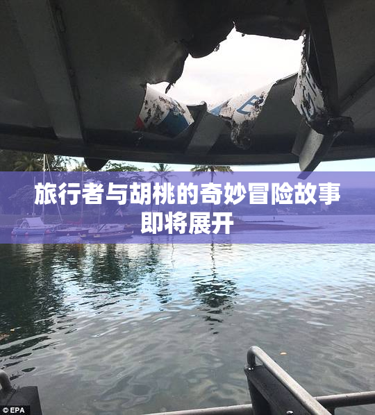 旅行者与胡桃的奇妙冒险故事即将展开