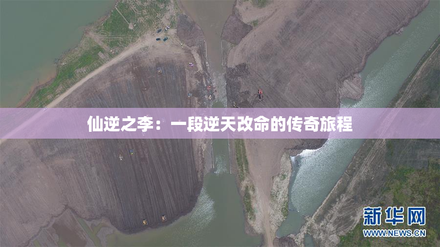 仙逆之李：一段逆天改命的传奇旅程