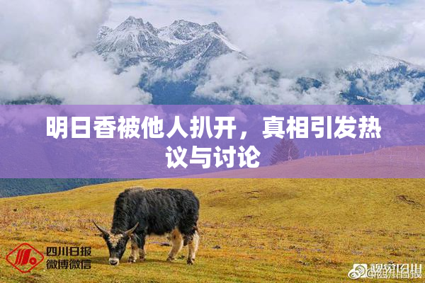 明日香被他人扒开，真相引发热议与讨论