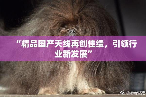 “精品国产天线再创佳绩，引领行业新发展”
