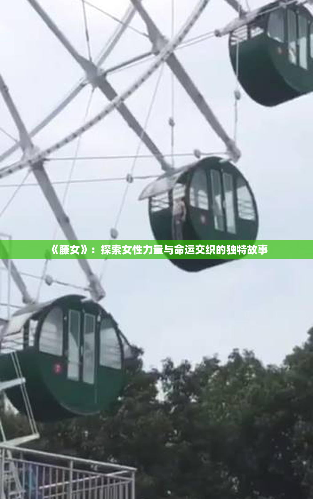 《藤女》：探索女性力量与命运交织的独特故事