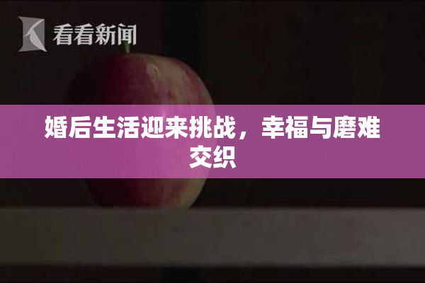 婚后生活迎来挑战，幸福与磨难交织