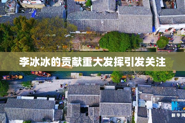 李冰冰的贡献重大发挥引发关注