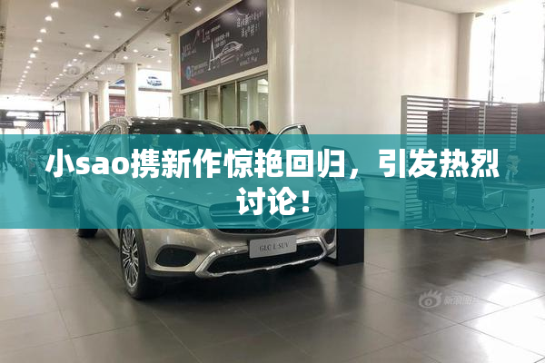 小sao携新作惊艳回归，引发热烈讨论！