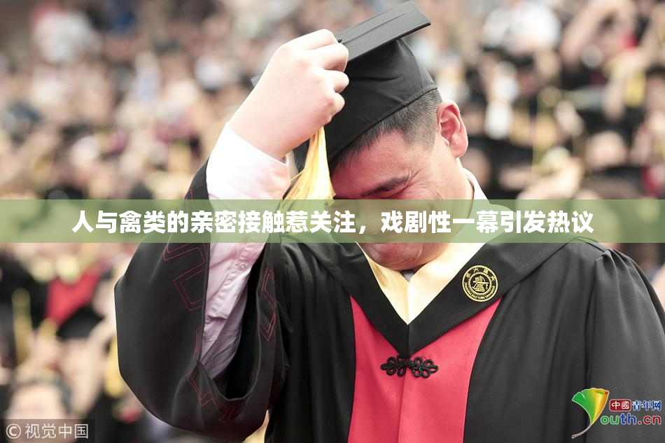 人与禽类的亲密接触惹关注，戏剧性一幕引发热议