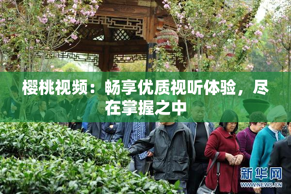 樱桃视频：畅享优质视听体验，尽在掌握之中