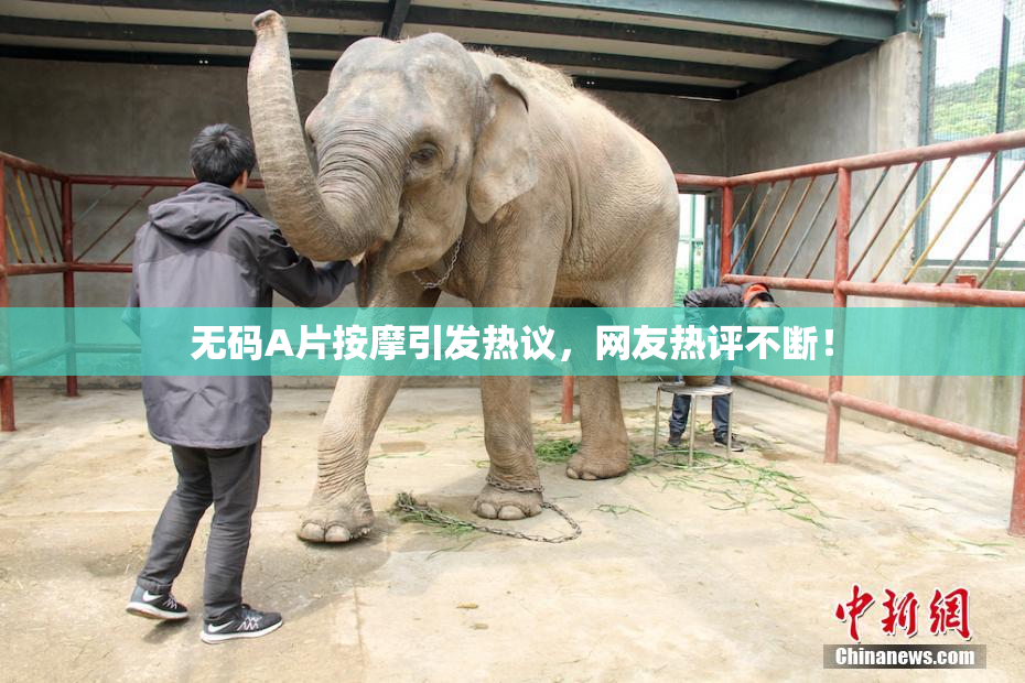无码A片按摩引发热议，网友热评不断！