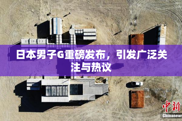 日本男子G重磅发布，引发广泛关注与热议