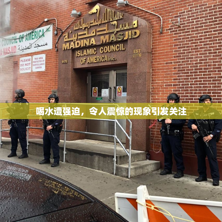 喝水遭强迫，令人震惊的现象引发关注