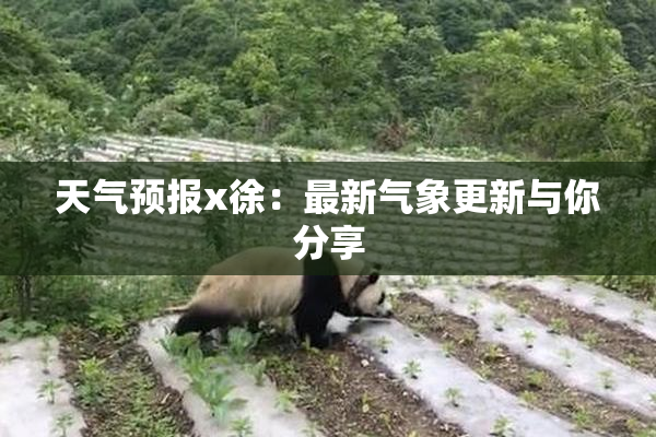 天气预报x徐：最新气象更新与你分享