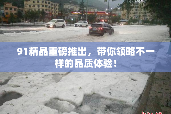 91精品重磅推出，带你领略不一样的品质体验！