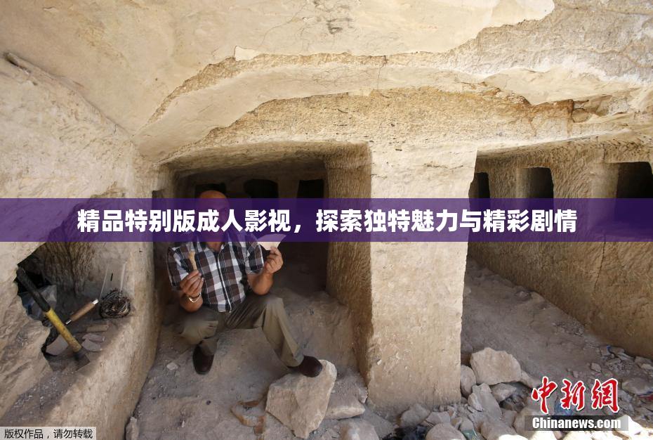 精品特别版成人影视，探索独特魅力与精彩剧情