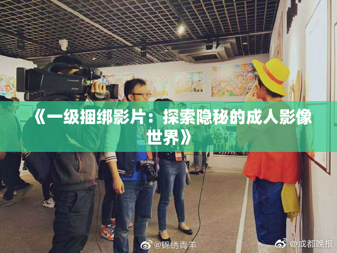 《一级捆绑影片：探索隐秘的成人影像世界》