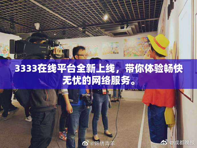 3333在线平台全新上线，带你体验畅快无忧的网络服务。