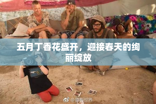 五月丁香花盛开，迎接春天的绚丽绽放