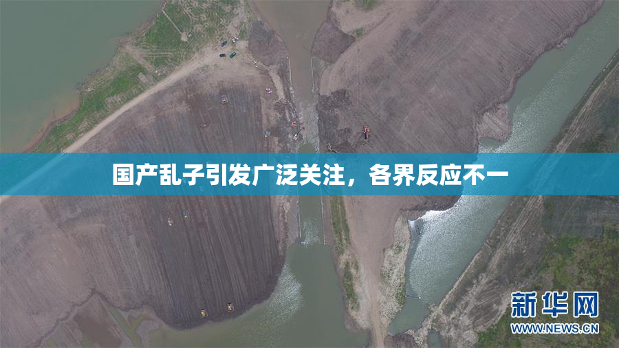 国产乱子引发广泛关注，各界反应不一