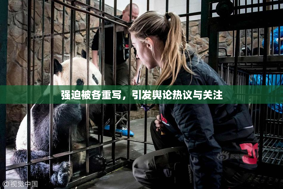 强迫被各重写，引发舆论热议与关注