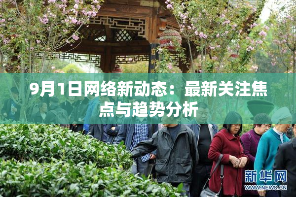 9月1日网络新动态：最新关注焦点与趋势分析