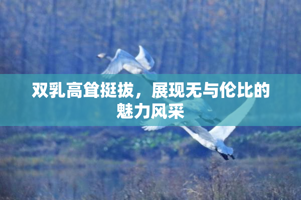 双乳高耸挺拔，展现无与伦比的魅力风采