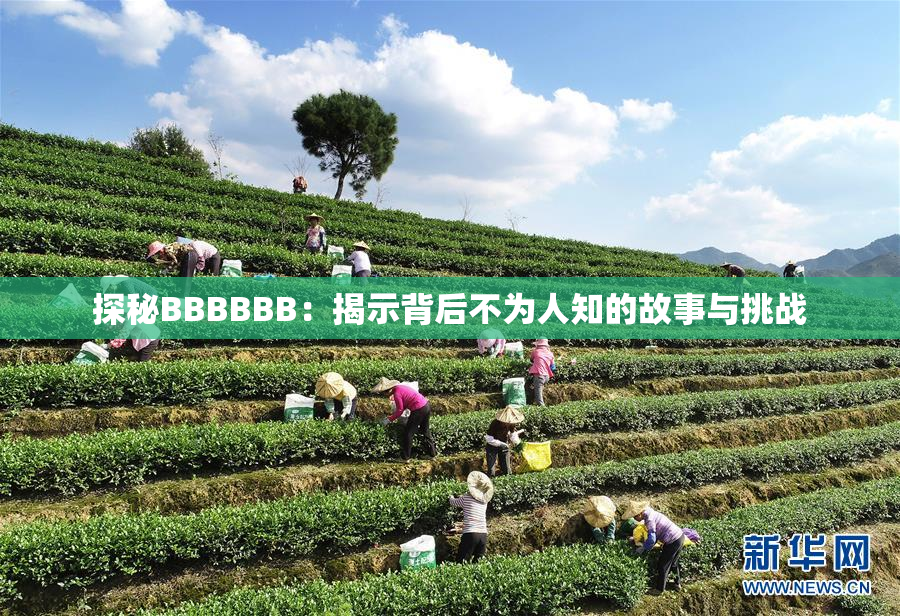 探秘BBBBBB：揭示背后不为人知的故事与挑战