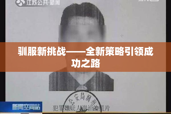 驯服新挑战——全新策略引领成功之路