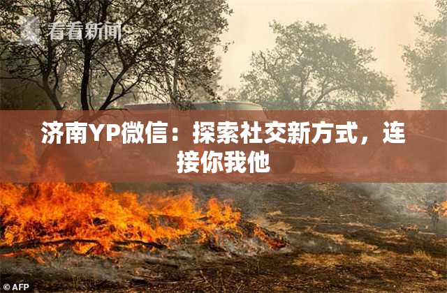 济南YP微信：探索社交新方式，连接你我他