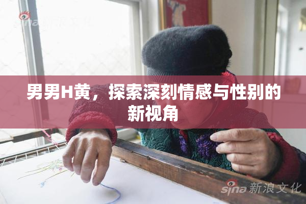 男男H黄，探索深刻情感与性别的新视角