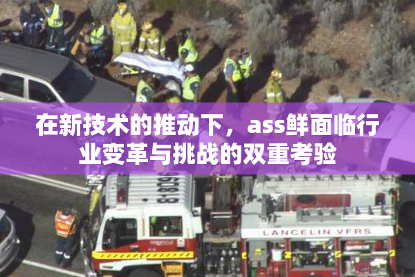 在新技术的推动下，ass鲜面临行业变革与挑战的双重考验