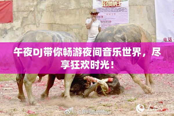 午夜DJ带你畅游夜间音乐世界，尽享狂欢时光！