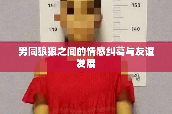 男同狼狼之间的情感纠葛与友谊发展