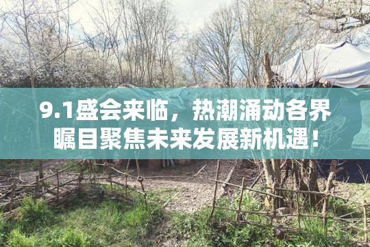 9.1盛会来临，热潮涌动各界瞩目聚焦未来发展新机遇！