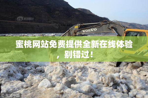 蜜桃网站免费提供全新在线体验，别错过！