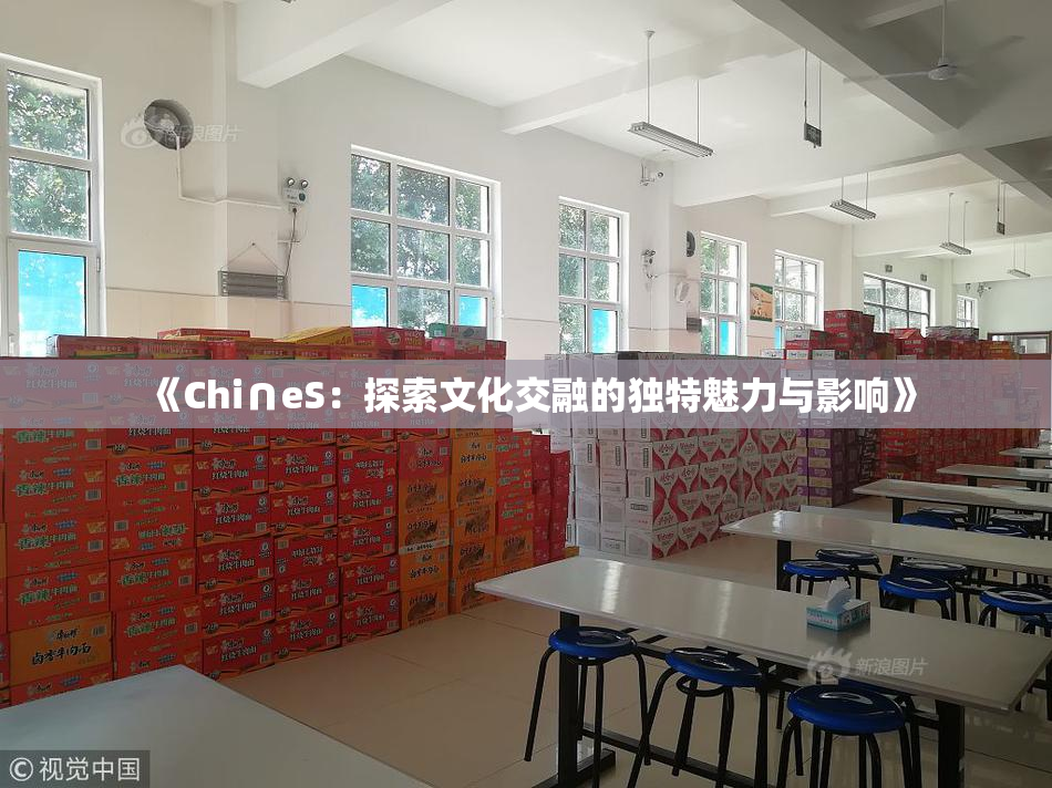 《Chi∩eS：探索文化交融的独特魅力与影响》