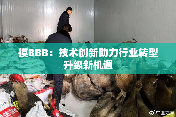 摸BBB：技术创新助力行业转型升级新机遇