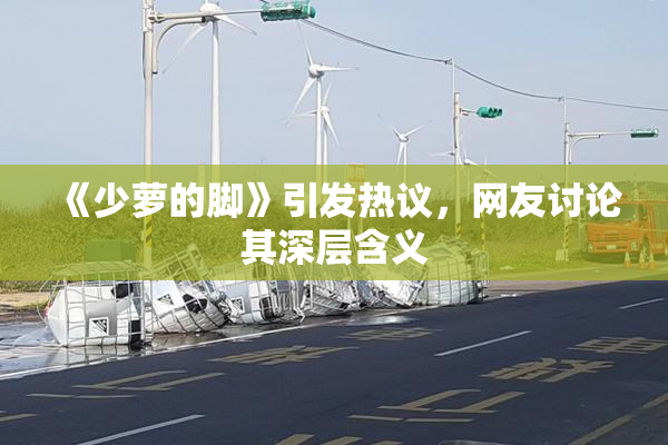 《少萝的脚》引发热议，网友讨论其深层含义