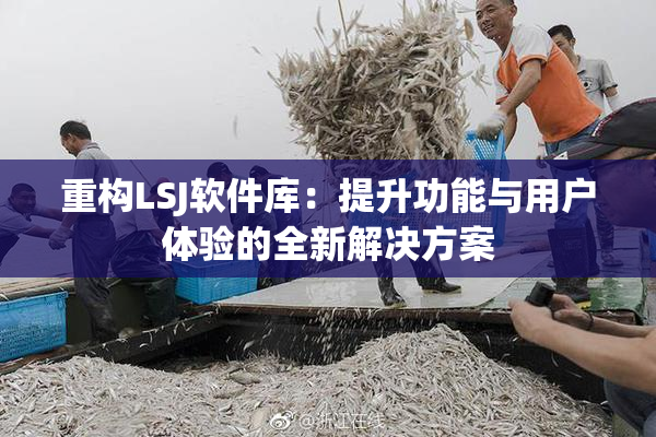 重构LSJ软件库：提升功能与用户体验的全新解决方案